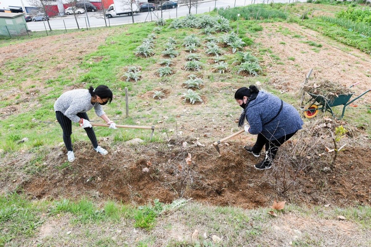 Els horts de Cova Solera han acollit cursos d'horticultura i jardineria