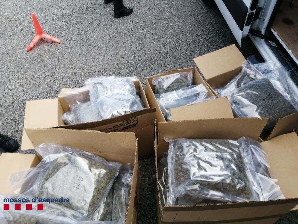 Els paquets de marihuana trobats a l'interior del vehicle