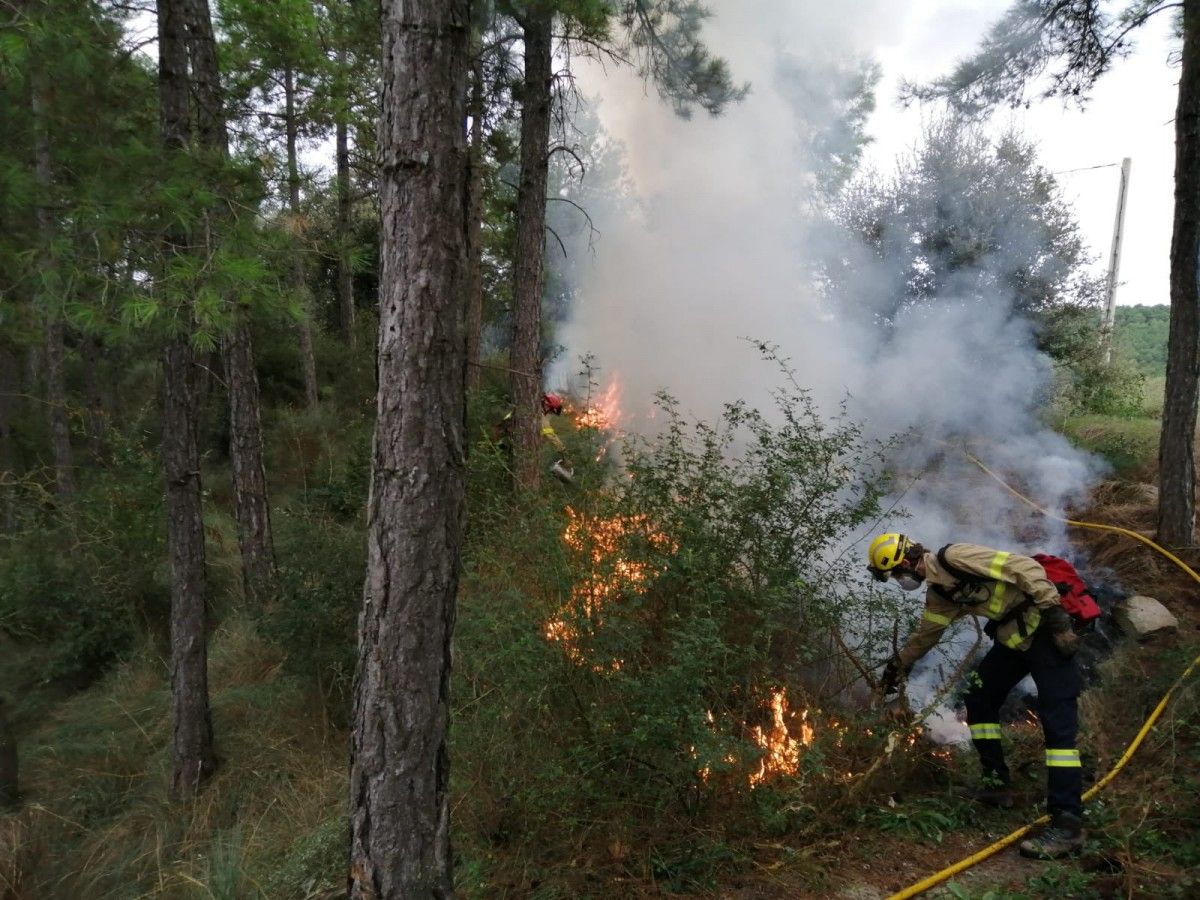 Bomber apagant un incendi forestal