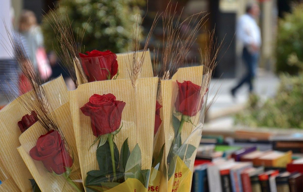 Roses i llibres a Rubí